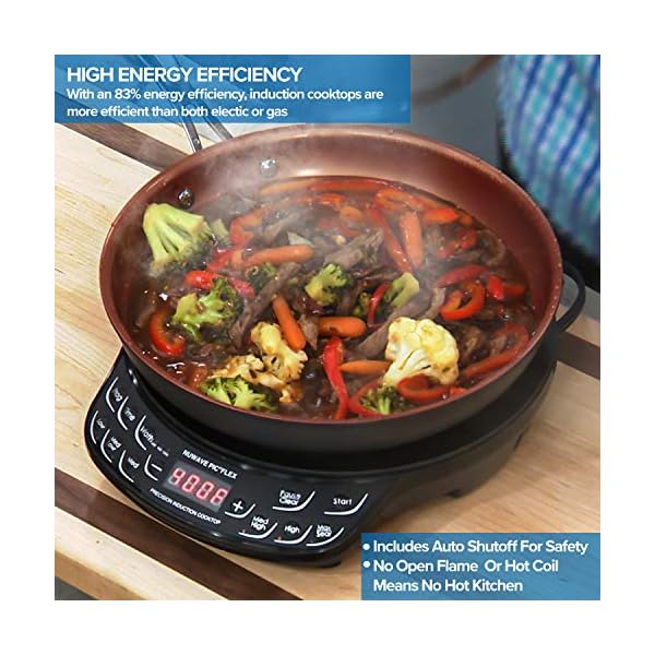 NUWAVE Flex Precision Induction Cooktop, 10.25” ShatterProof Ceramic