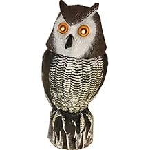 Amazon.com: motion sensor owl