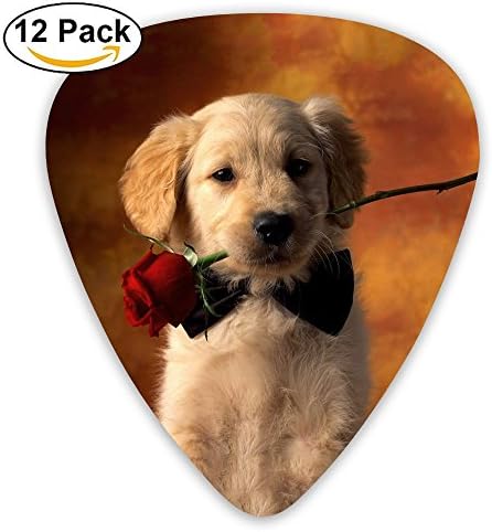 LLGUITAR Dog Rose Guitar Picks 12pack Celluloid Plectrum Custom 0.46mm/0.71mm/0.96mm For Electric Acoustic Guitars Bass Best Stocking Stuffer Gifts For Kids Teens Adults