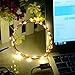 LAFALA Christmas lights LED SopoTek 13ft 40 LEDS Starry Lights Fairy Lights Copper LED Lights Strings AA Battery Powered Ultra Thin String Wire 40 Leds Warm white