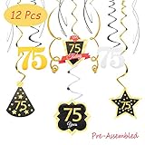75 Birthday Decoration Happy 75th Birthday Party Silver Black Gold Foil Hanging Swirl Streamers I'm Seventy-five Years Old Today Birthday Hat Gold Star Ornament Party Present Supplies