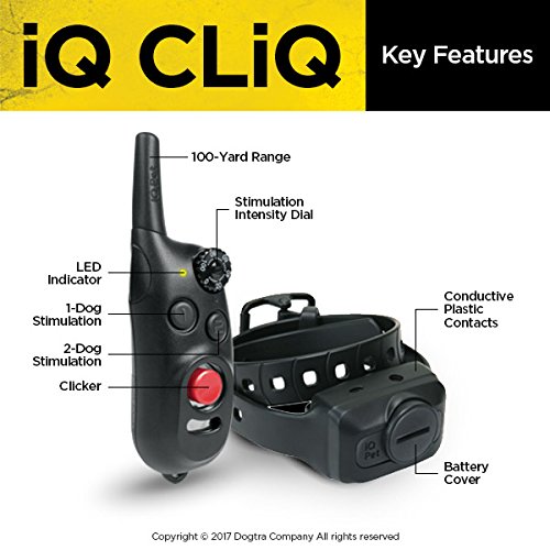 Dogtra iQ CliQ Remote Training Collar with Built-in Clicker?
