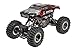 Redcat Racing Everest-16 Electric Rock Crawler with 2.4Ghz Radio Control (1/16 Scale), Red