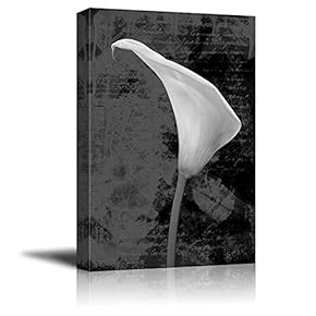 Black and White Vintage Style Calla Lily with Script in The Background - Canvas Art Home Art - 12x18 inches