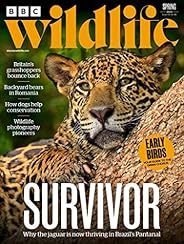 BBC Wildlife Magazine