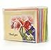 Thank You Cards set 50 Cards 50 Colored Envelopes, 5 Floral Designs Greeting Cards, Blank Foldable Note Cards Watercolor Florals Assorted Pack Greeting Cards for All Occasions 4 x 6 inches By Colorona