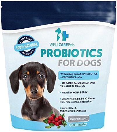 Well Care Pets Dog Probiotics Powder Supplement
