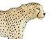 Safari Ltd. Cheetah Toy Figurine - Detailed 8