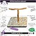 Birds LOVE Small Dragonwood Bird T-Stand Perch Gym Training Playstand Cockatiels Lovebirds Parakeets Conures 11.75″ x 11.75″ x 9.25″thumb 1