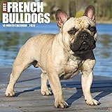 Just French Bulldogs 2020 Wall Calendar (Dog Breed Calendar) by