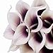 smylls Calla Lily Bridal Wedding Bouquets Latex-Look Like Real,Eco-friendly Odourless Artificial Flowers Christmas Home Decoration(12, Purple & White)