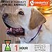 Beloved Pets Calming Collar for Dogs | Improved DE-Stress Formula | Reduces Anxiety During Travel, Fireworks, Thunder, Vet Visits | Helps to Relieve Stress, Scratching, Fighting, Hiding