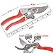 Kynup 8.6″ Professional Pruner Shears, Bypass Pruning Scissors, Garden Shears, Perfect Tree Trimmer, Hedge & Gardening Shears Clippers for Plants, Gardening Cutter (Red)thumb 2