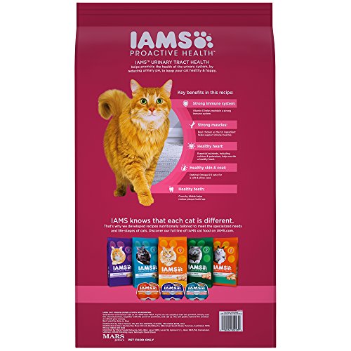 Iams Proactive Health Adult Urinary Tract Health Dry Cat Food With Chicken, 16 Lb. Bag - //medicalbooks.filipinodoctors.org