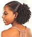 Freetress Equal Synthetic Drawstring Ponytail - COIL UP