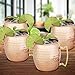 Chef's Star Set of 4 Handmade Hammered Copper Moscow Mule Mug - 100% Pure Copper with Brass Handle - Hammered Moscow Mule Mug Cup 18OZ