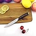ISSIKI Cutlery Professional 5 Inch Utility Knife, Kitchen Knife, High Carbon Stainless Steel, Sharp Cutlery, Ergonomic Handle with Gift Box