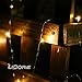 LIDORE LED Fairy Light 20 Warm White String Lights with Timer Battery Operated on 7.5 feet Silver Color Copper Wire