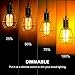 Edison Light Bulbs,HESSION T45 40w Vintage Antique Tungsten Filament Incandescent Bulbs,E26 Base Light Bulbs for Decorative Pendant Lighting Dimmable 110V Amber Glass(6 Pack)