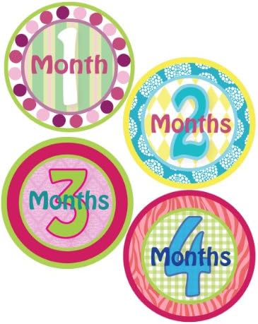 Baby Girl Monthly Onesie Stickers in BOLD GIRL Design - Waterproof and Durable - Includes 1-12 Month Stickers for a Unique Way to Document Your Baby's Monthly Milestones