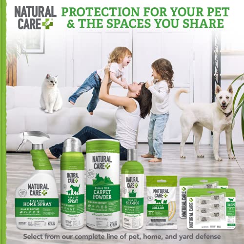 Natural Care Flea and Tick Carpet Powder Flea Treatment for Rugs