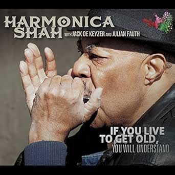 You Don T Have To Have Liquor To Be A Fool By Harmonica Shah On
