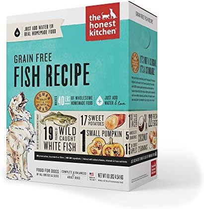 amazon honest kitchen