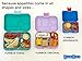 YUMBOX TAPAS Larger Size Leakproof Bento lunch box for Adults, Teens & Pre-teens. Over 4 cups food volume. (Amalfi Pink)
