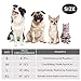 MIDOG Inflatable Dog Neck Donut Collar Alternative After Surgery, Soft Protective Recovery Cone for Small Medium Large Dogs and Cats Puppies - Alternative E Collar (Gray, L)