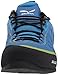 Salewa Men's Firetail 3 GTX Approach Shoes