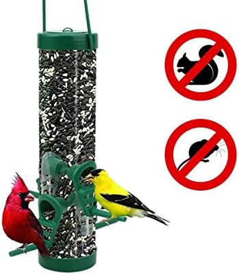 AUGYMER Wild Bird Feeder, Weather squirrel proof Bird Feeders 4 Feeding Ports 100% Clear Acrylic Easy Clean