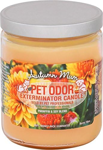 Autumn Mum Pet Odor Exterminator 13 Ounce Jar Candle