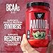 BSN Amino X Muscle Recovery & Endurance Powder with BCAAs, 10 Grams of Amino Acids, Keto Friendly, Caffeine Free, Flavor: Grape, 30 servings (Packaging may vary)