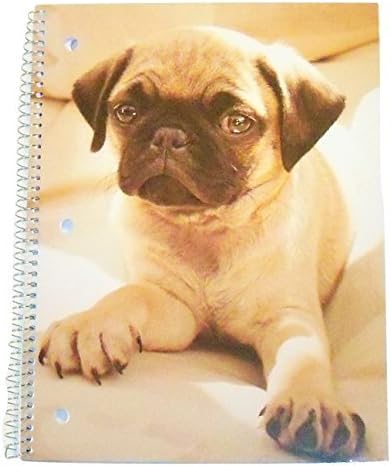Carolina Pad Studio C Wide Ruled Puppy Paws Spiral Notebook ~ Pondering Pug (8 x 10.5; 60 Sheets, 120 Pages) by Carolina Pad