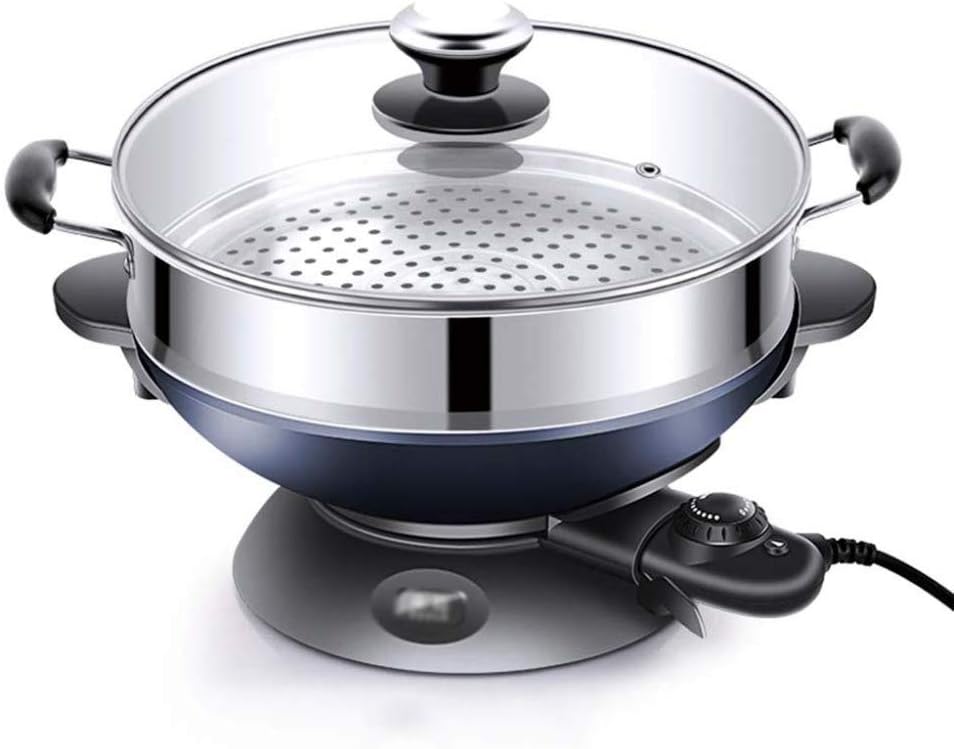 The 10 Best Aroma Electric Wok