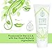 The Wonder Seed Hemp Conditioner - All Natural Organic Formula - Best Solution for Damaged Hair/Dry Itchy Scalp & More - Vegan Blend Proudly Toxin & Cruelty Free (Green Tea) 7oz