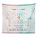 DPIST Gender Reveal Party Decorations Supplies Photo Booth Backdrop for Pictures Baby Shower Birthday Party Decorations Studio Props Tapestry
