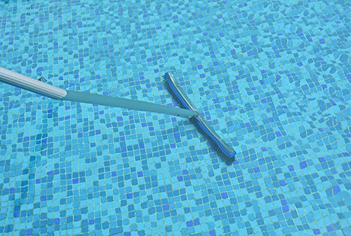 Aquatix Pro Pool Brush Head, 18
