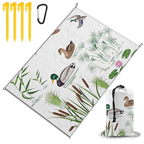 Sunglasses And Blanket Vine TOPRated Best Sunglasses And Blanket Vine