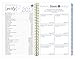 bloom daily planners 2017 Calendar Year Daily Planner – Weekly and Monthly Datebook Organizer – January 2017 to December 2017 (6” x 8.25”) - Peacock Feathers