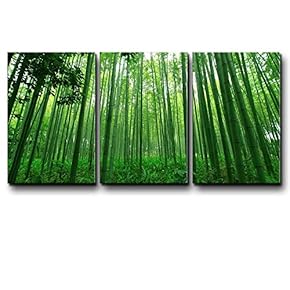 Three Piece Canvas - Diagonal Green Bamboo Forest on 3 Panels - Canvas Art Home Art - 16x24 inches