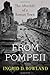 From Pompeii: The Afterlife of a Roman Town