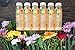 Classic Cleanse by SPRNG Premium Juices, Master Cleanse, Cold-Pressed Maple Lemonade Cayenne Cleanse, Juice Detox, 12 Fl oz bottles (Pack of Six)