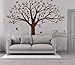 Giant Family Tree Wall Decals Photo Tree Wall Decals with Birds Wall Stickers for Living Room Nursery Bedroom Decoration (Coffee Brown)