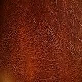 LEATHER FRAGRANCE OIL - 4 OZ - FOR CANDLE & SOAP MAKING BY VIRGINIA CANDLE SUPPLY - FREE S&H IN USA