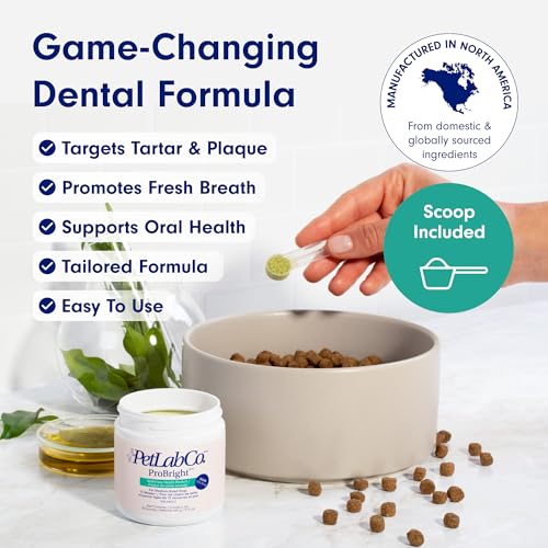 PetLab Co. ProBright Dental Powder - Dog Breath Freshener - Teeth Cleaning Made Easy – Targets Tartar & Bad Breath - Formulated for Medium Size Dogs
