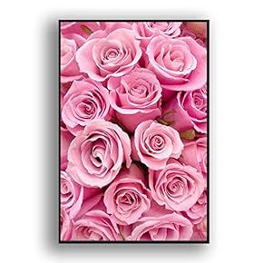 Framed Canvas Wall Art for Living Room, Bedroom Rose Closeup I Canvas Prints for Home Decoration Ready to Hang - 16x24 inches