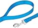 Country Brook Petz | Vibrant 21 Color Selection | Nylon Dog Leash (Ice Blue, 1 inch Width, 6 Foot)