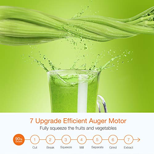 1 Homever+Masticating+Juicer+Vegetables+Extractor