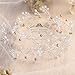 Jovono Bride Wedding Hair Vine Bridal Hairpieces Beaded Rhinestone Hair Accessory for Women and Girls (Silver)